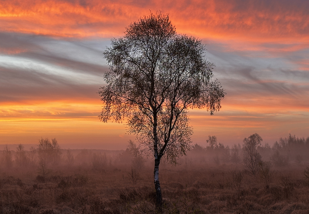 Part 2 winner: Morning Magic by Marion Hayhurst